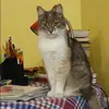 Отзыв от Майя Дроздова